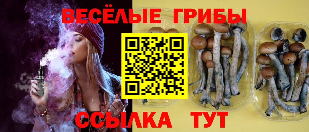 Галлюциногенные грибы мухоморы Донской